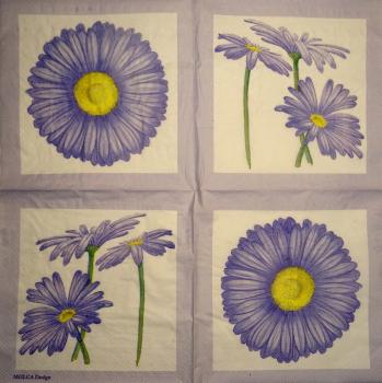 141 Margeriten - 3-lagig - (rosa) - Molca